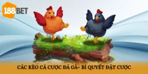 Các kèo cá cược đá gà