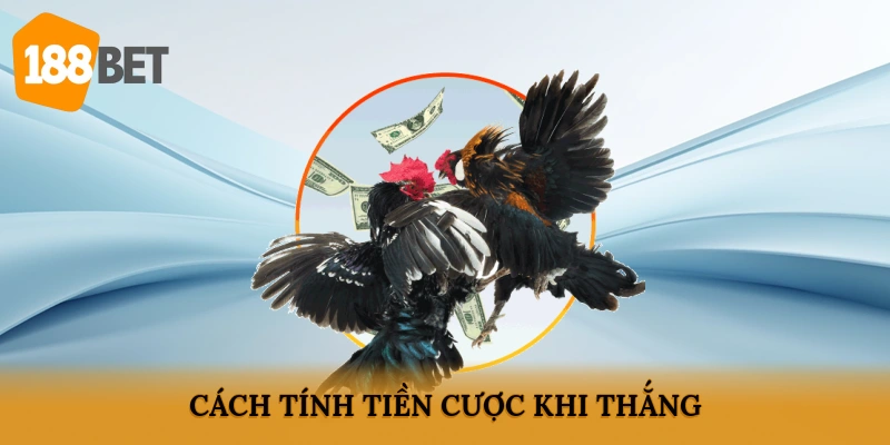 Cách tính tiền cược khi thắng