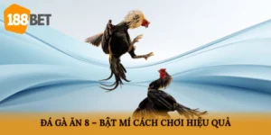 Đá gà ăn 8