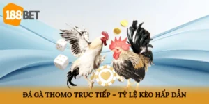 Đá gà Thomo trực tiếp