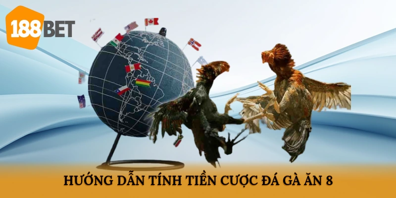 Hướng dẫn tính tiền cược đá gà ăn 8