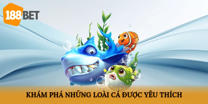 Khám phá những loài cá được yêu thích