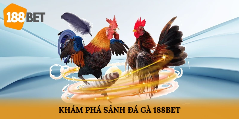 Khám phá sảnh đá gà 188BET