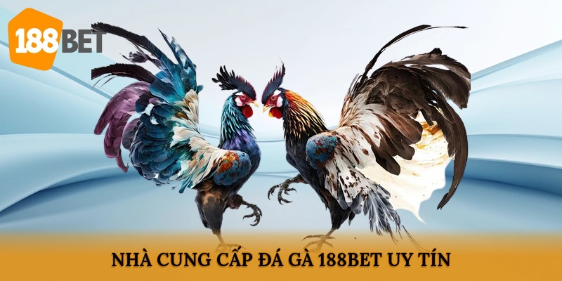 Nhà cung cấp đá gà 188BET uy tín