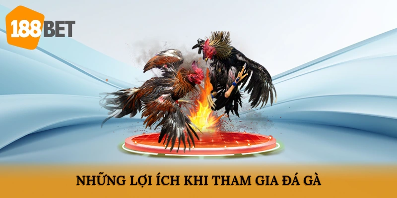 Những lợi ích khi tham gia đá gà