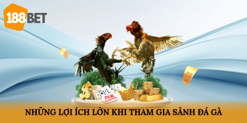 Những lợi ích lớn khi tham gia sảnh đá gà
