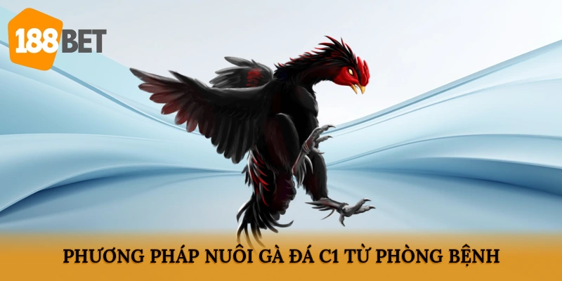 Phương pháp nuôi gà đá C1 hiệu quả từ phòng bệnh