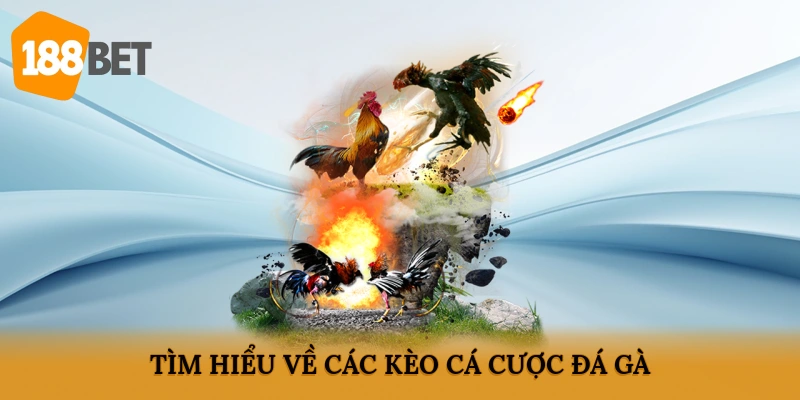 Tìm hiểu về các kèo cá cược đá gà